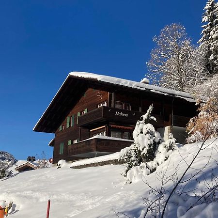 Apartment Helene Apt Diana By Interhome Wengen Exterior photo