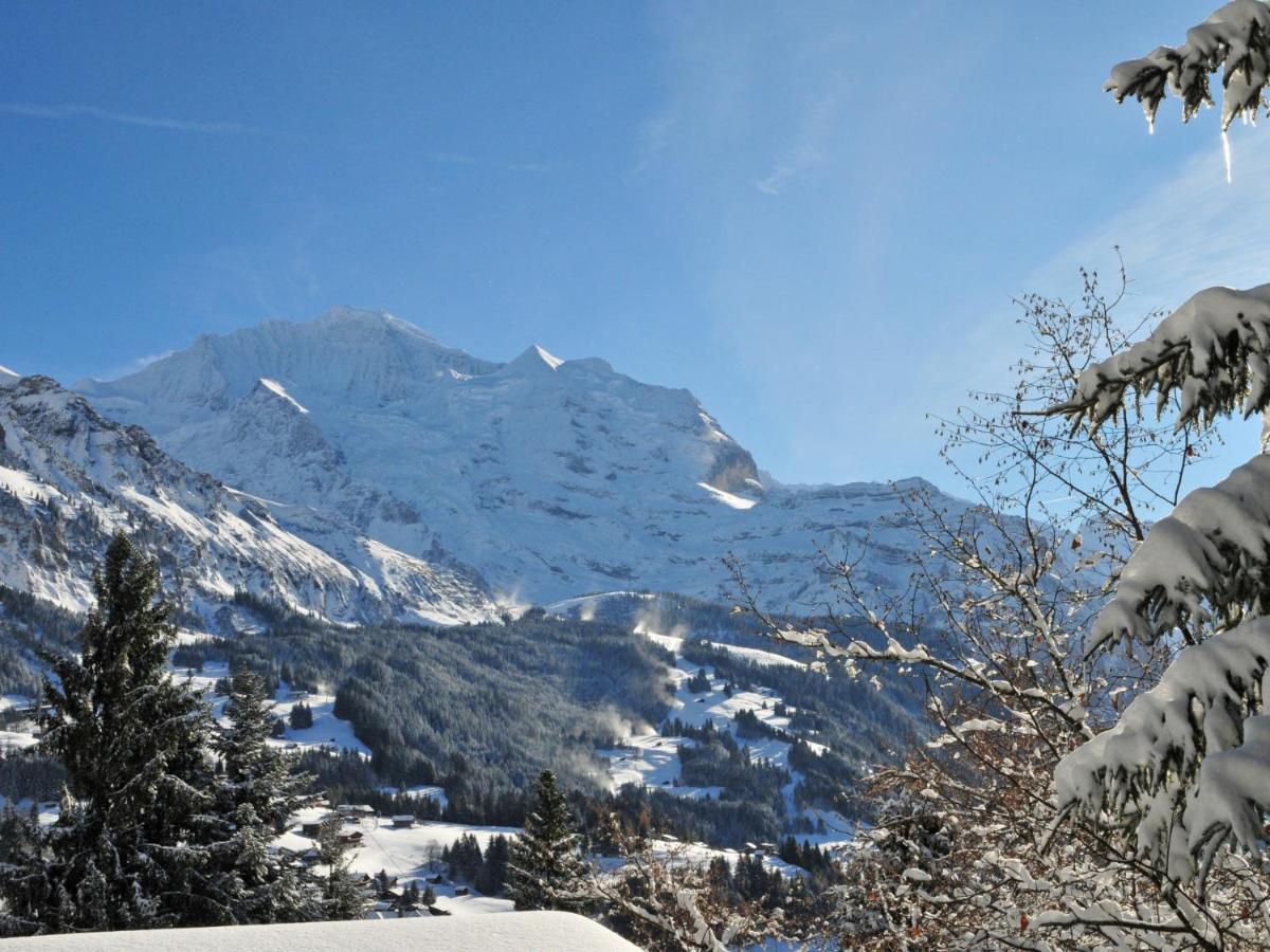 Apartment Helene Apt Diana By Interhome Wengen Exterior photo