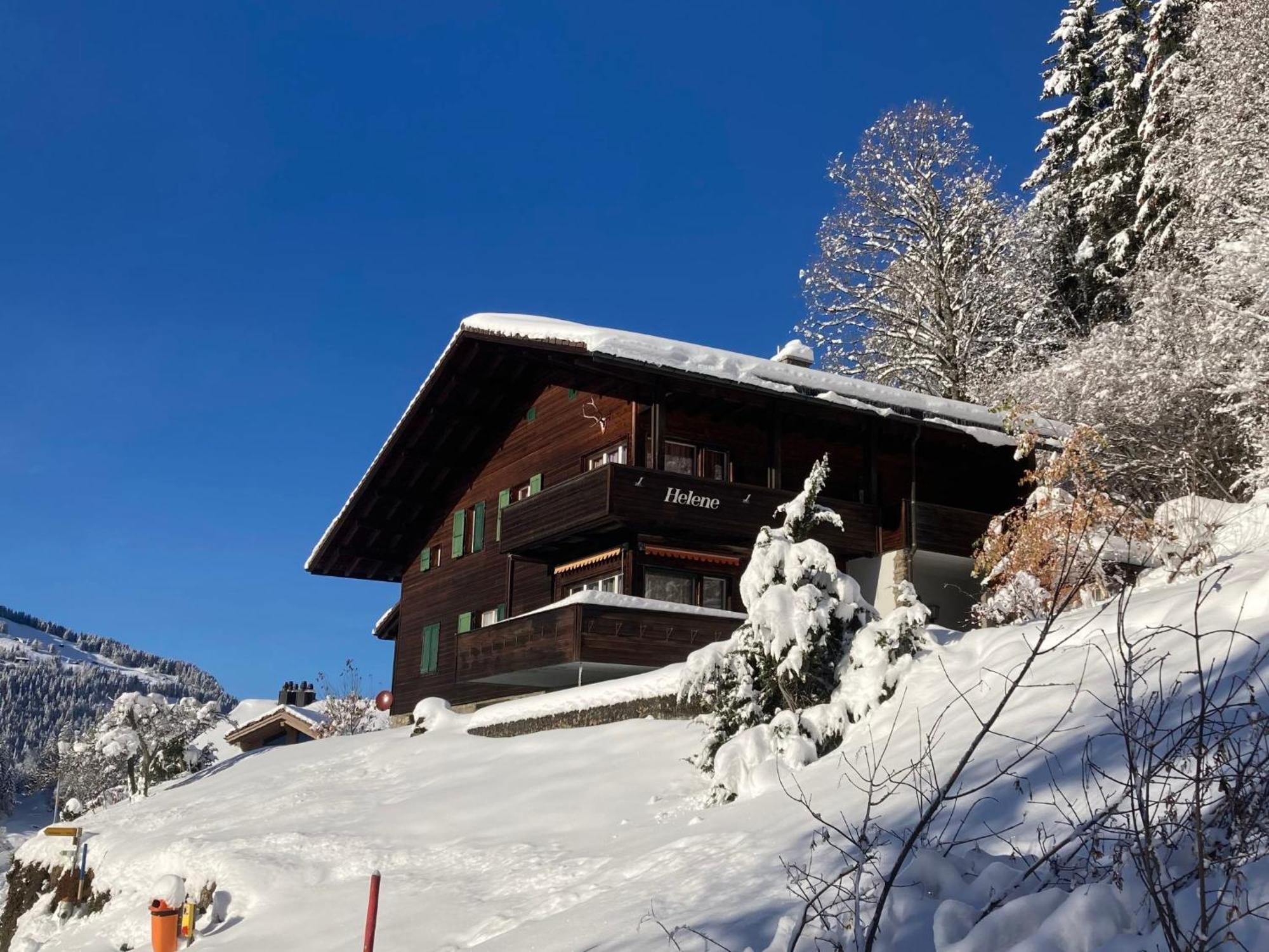 Apartment Helene Apt Diana By Interhome Wengen Exterior photo